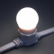 Светодиодная лампа для Белт-лайта холодная белая, 45 мм., 2Вт, Е27, 24В, Teamprof (TPF-B-E27-G45-24V-2W-W)