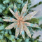 Ветвь-цветок Кариота бирюзовая 30 см., 1 шт., Christmas De Luxe (86735) 