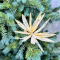 Ветвь-цветок Кариота бежевая 30 см., 1 шт., Christmas De Luxe (86736) 