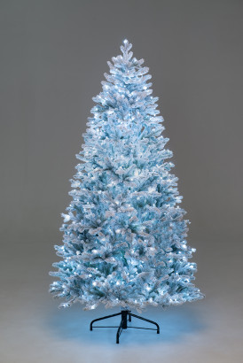 Искусственная елка Алтайская заснеженная 240 см., 650 холодных-белых Led ламп, 100% литая хвоя, ЕлкиТорг (177240)