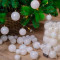 Набор пластиковых шаров Стиль mix, белый ирис, 30 шт, Kaemingk (022917) 