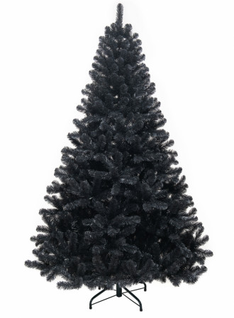 chr