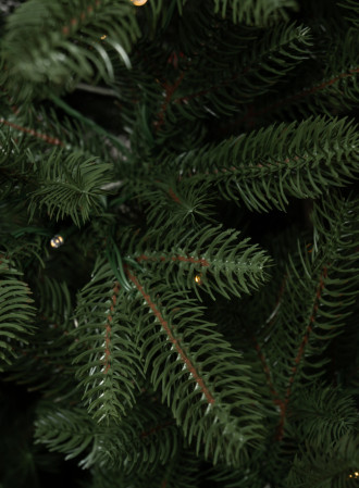 DSC_9617