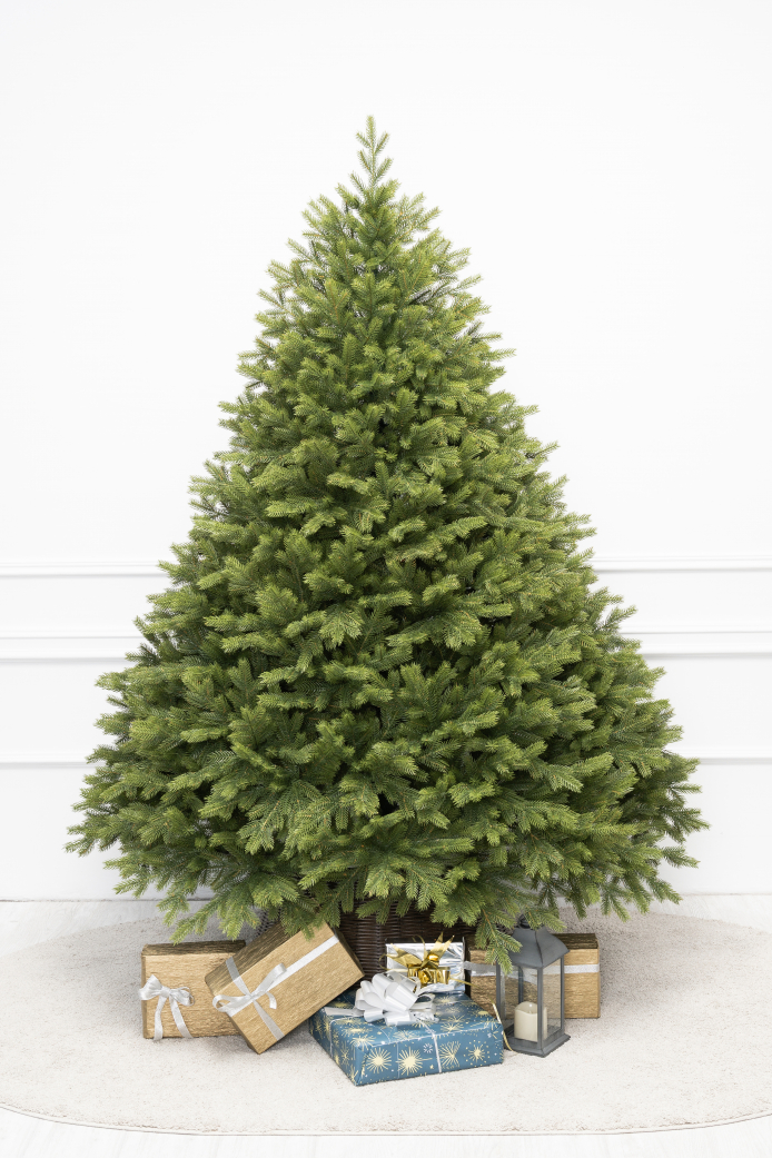 Эрмитажная