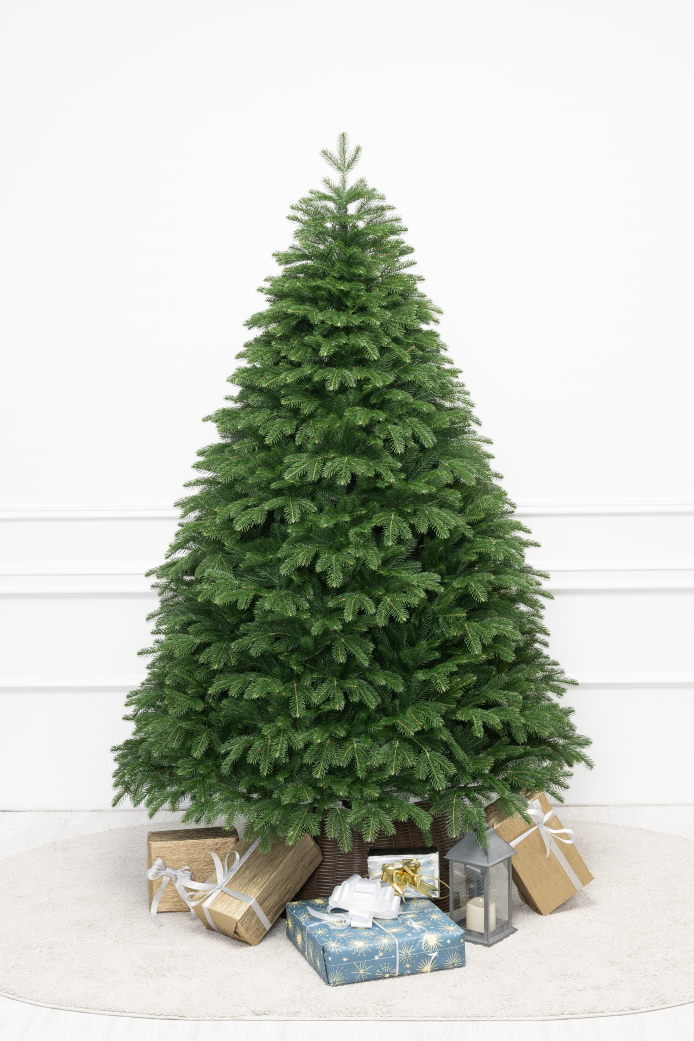 Дворянская