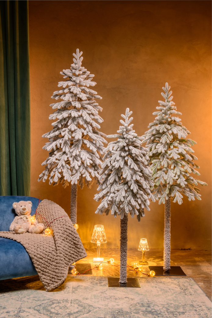 Тароко заснеженная