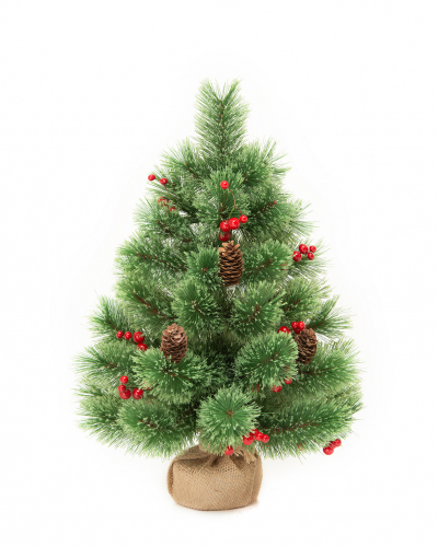 Фотография коллекции Роскошная