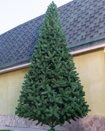 Фотография коллекции Афина 