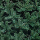 Детализация веток