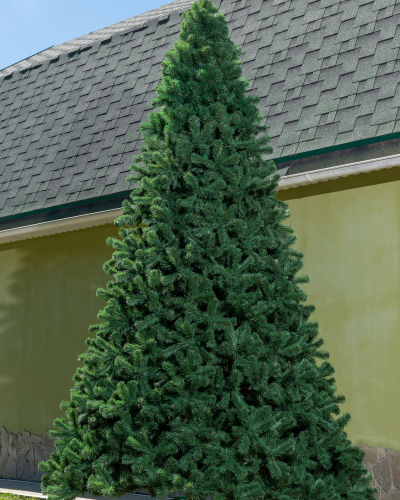 Фотография коллекции Клеопатра Премиум