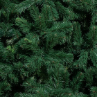 Детализация веток