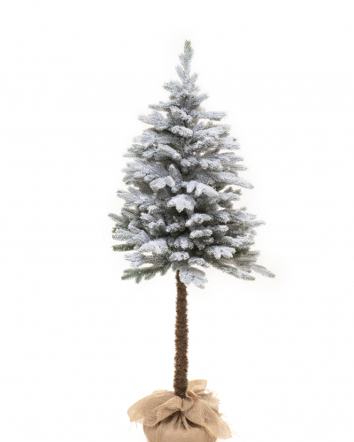 Фотография коллекции Камилла заснеженная