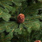 Детализация веток