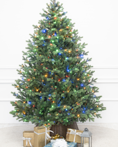 Фотография коллекции Торжественная