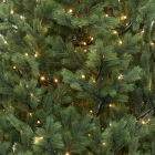 Детализация веток