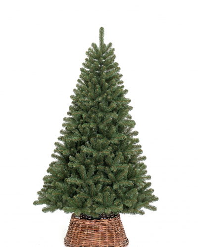 Фотография коллекции Селигерская