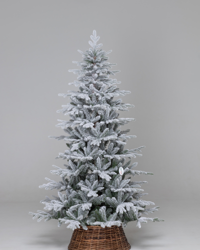 Фотография коллекции Сибирская заснеженная