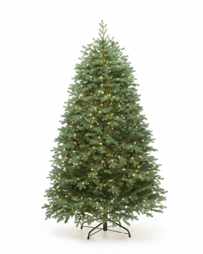 Фотография коллекции Русская