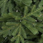 Детализация веток