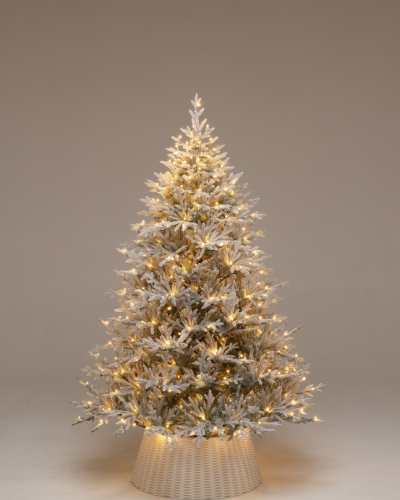 Фотография коллекции Петроградская заснеженная в Санкт-Петербурге