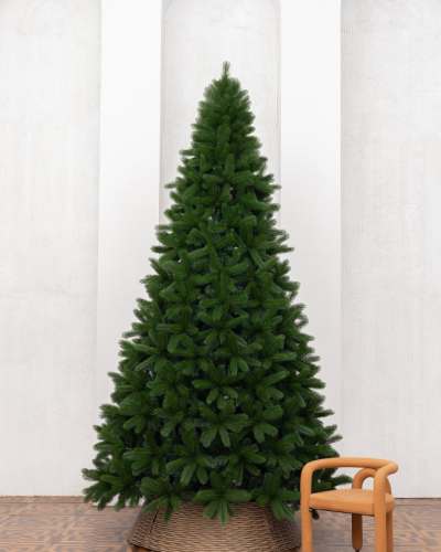 Фотография коллекции Каспийская в Санкт-Петербурге