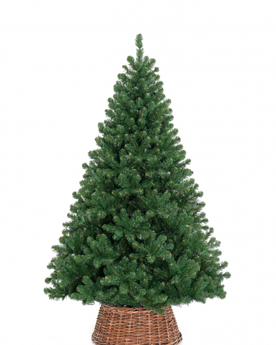 Фотография коллекции Звездная