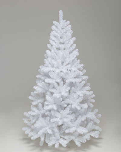 Фотография коллекции Радужная