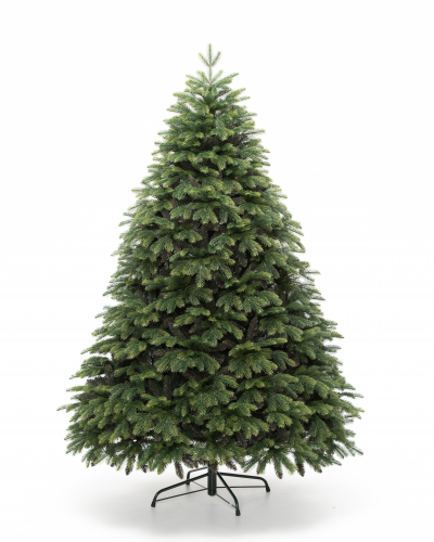 Фотография коллекции Богемская