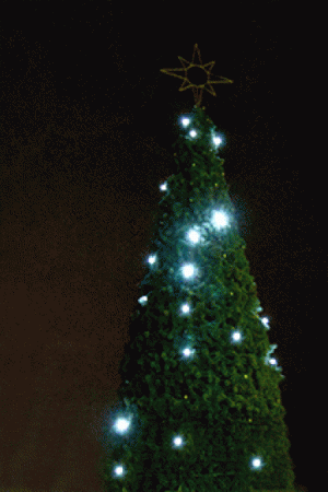 Комплект гирлянд Звездное небо для елей высотой 28 м., холодный белый, Green Trees (ZNeb28)