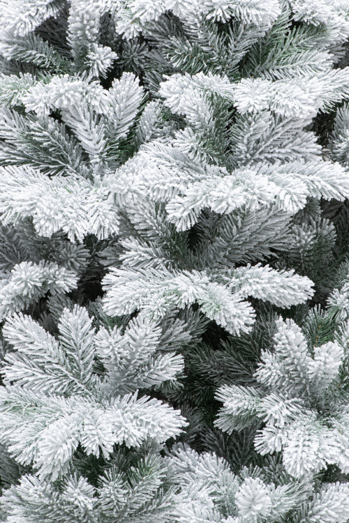Искусственная елка Суздальская заснеженная 210 см., 100% Литая хвоя, ЕлкиТорг (273210)