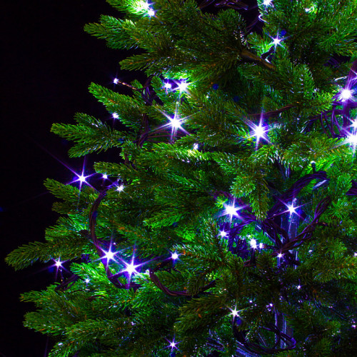 Светодиодная нить 42 м., 220V, 600 холодных белых LED ламп, контроллер, черный провод, Winner Light (w.01.5B.600-) в Санкт-Петербурге