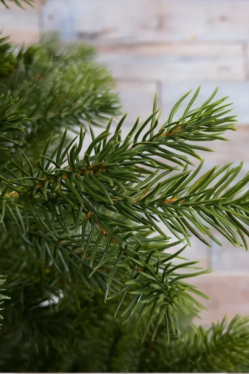 Можжевельник 215 см., зеленый, литая хвоя, Triumph Tree (72131) в Санкт-Петербурге