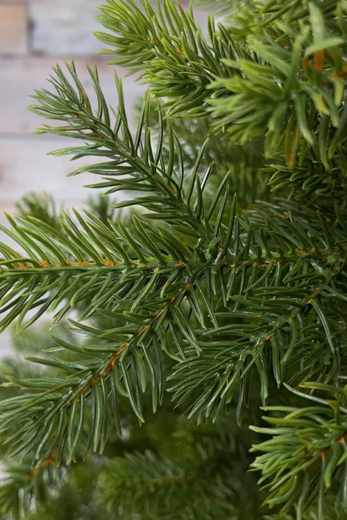 Можжевельник 215 см., зеленый, литая хвоя, Triumph Tree (72131) в Санкт-Петербурге