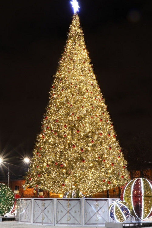 Уличная искусственная светодинамическая елка Альпийская зеленая 5 м., ствольная, ПВХ, Green Trees (GT5APVCLED)