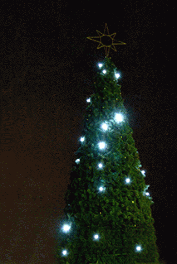 Комплект гирлянд Звездное небо для елей высотой 30 м., холодный белый, Green Trees (ZNeb30)