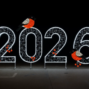 Светодиодные цифры &quot;2026&quot; 200 см., Сад Радости (SR013)