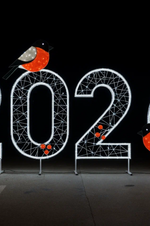 Светодиодные цифры &quot;2026&quot; 200 см., Сад Радости (SR013)
