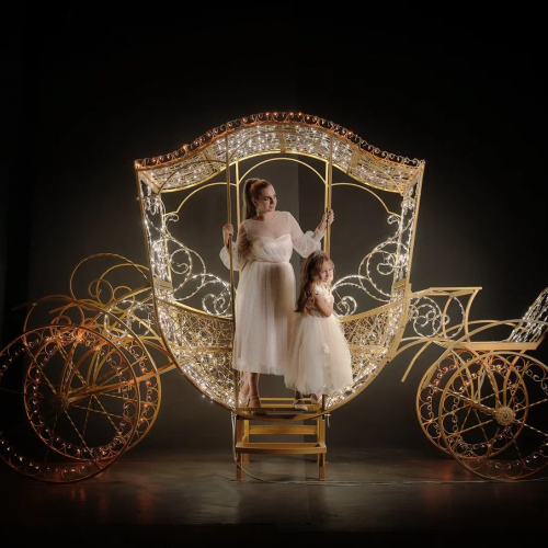 Светодиодная фотозона Екатерининская карета 250 см., Сад Радости (SR111)