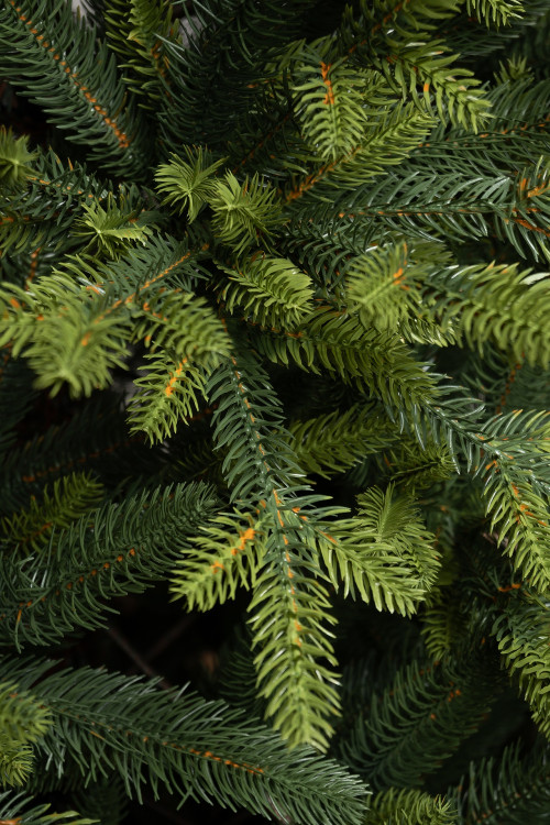 Искусственная елка Тибетская 210 см., 100% литая хвоя, ЕлкиТорг (58210)