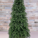 Елка Нормандия 215 см., темно зеленая, стройная, литая хвоя, Triumph Tree (72118)