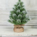 Искусственная сосна Скарлетт с инеем 60 см., Леска, ЕлкиТорг (96060) в Санкт-Петербурге
