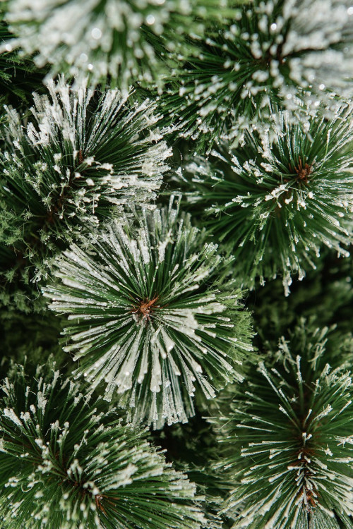 Искусственная сосна Скарлетт с инеем 90 см., Леска, ЕлкиТорг (96090)