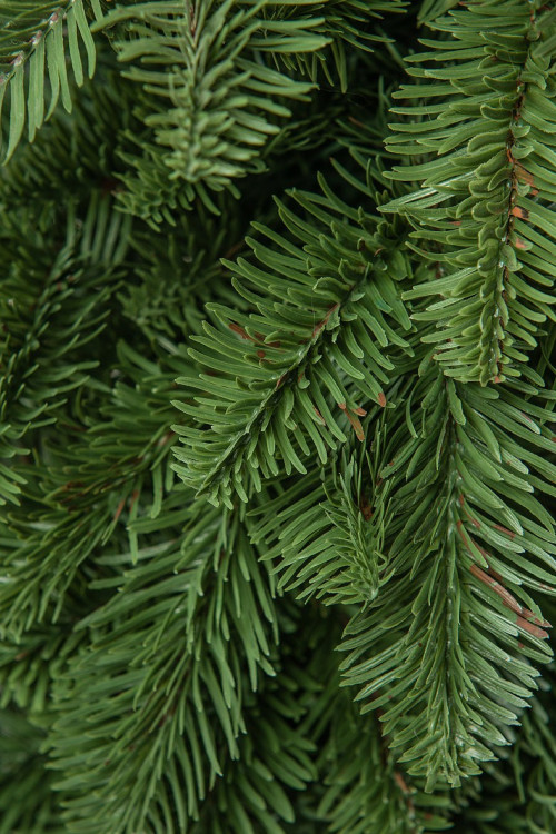 Искусственная елка Ренессанс 45 см., 100% литая хвоя, ЕлкиТорг (98045) в Санкт-Петербурге