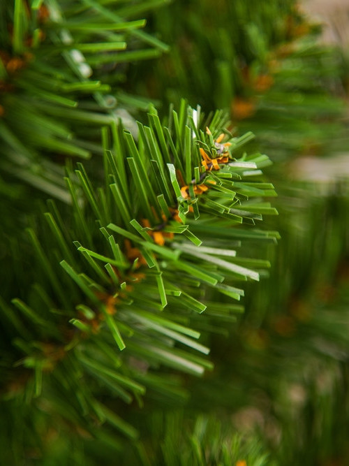 Ель Альпийская в мешочке 90 см., мягкая хвоя, Triumph Tree (73562)