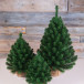 Ель Альпийская в мешочке 90 см., мягкая хвоя, Triumph Tree (73562)