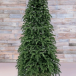Елка Нормандия 260 см., темно зеленая, стройная, литая хвоя, Triumph Tree (72140)