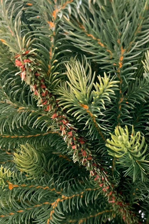 Ель Кремлевская Премиум 120 см., 100% литая хвоя, TreeDeLux (70134)