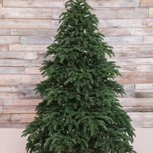 Елка Нормандия 185 см., 100% литая хвоя, Triumph Tree (72080)
