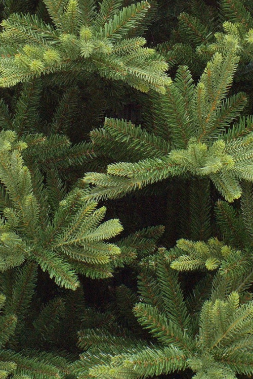 Ель Королевская премиум 215 см., литая хвоя+пвх, Triumph Tree (73168)