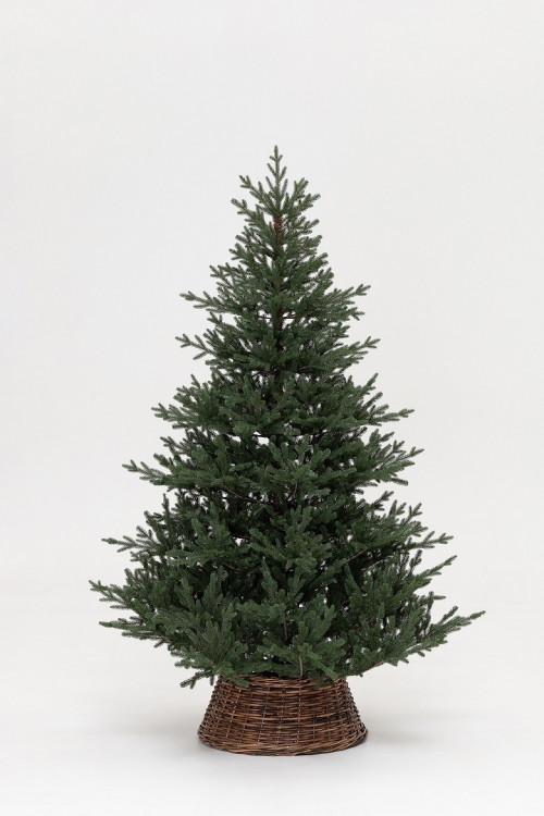 Искусственная елка Царевна леса 270 см., 100% литая хвоя, ЕлкиТорг (11270)